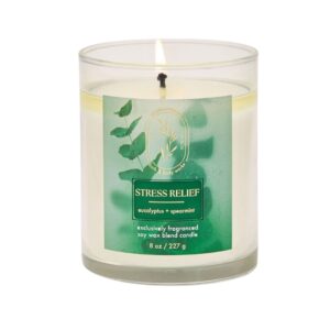 Bath & Body Works Aromatherapy Stress Relief Eucalyptus Spearmint Single Wick Candle